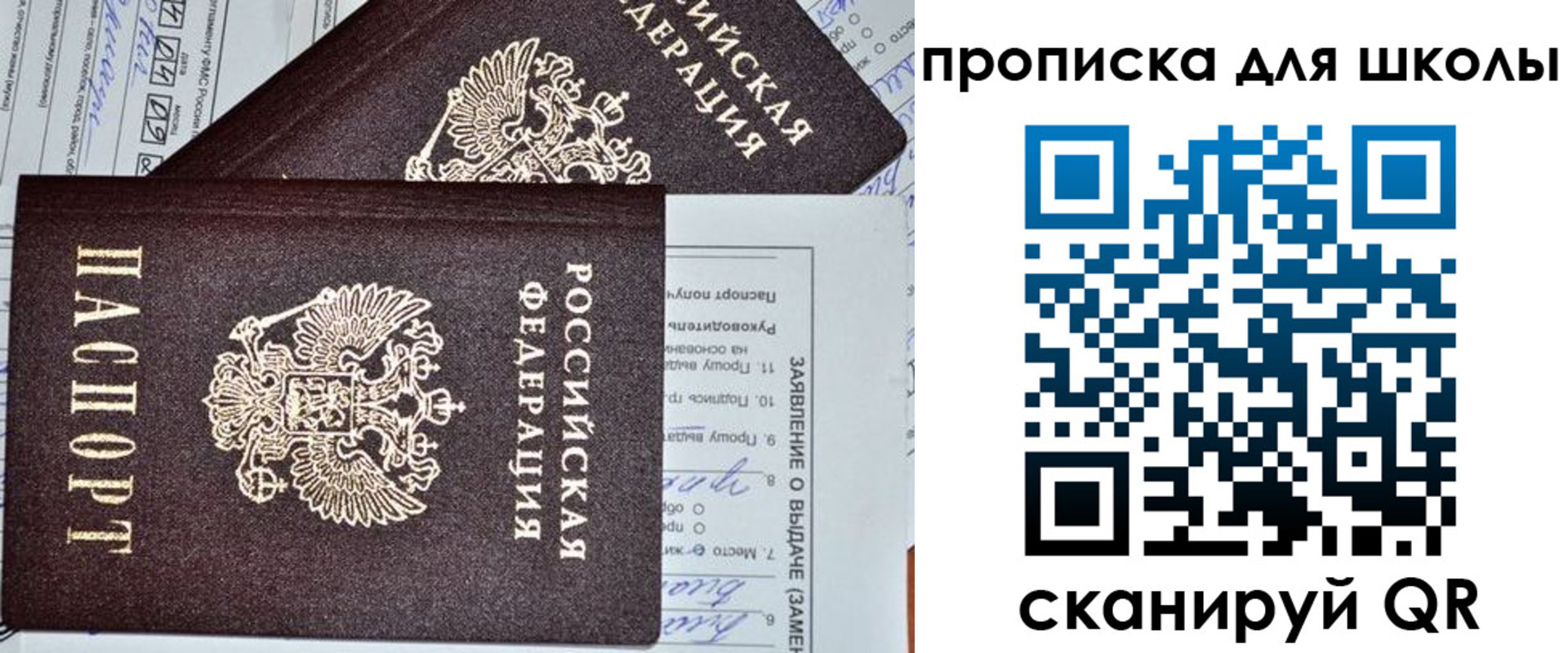прописка в Щиграх